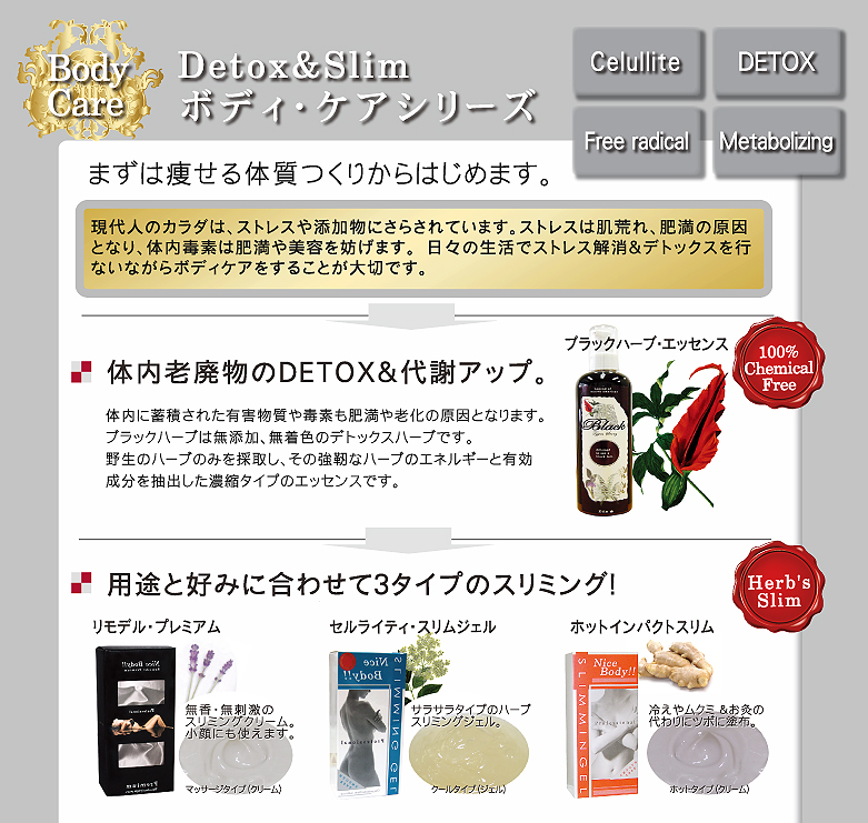 �G�X�e���އ@