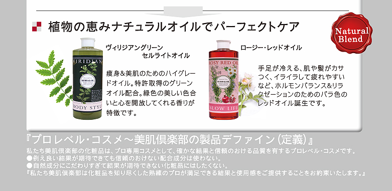 �G�X�e���އA